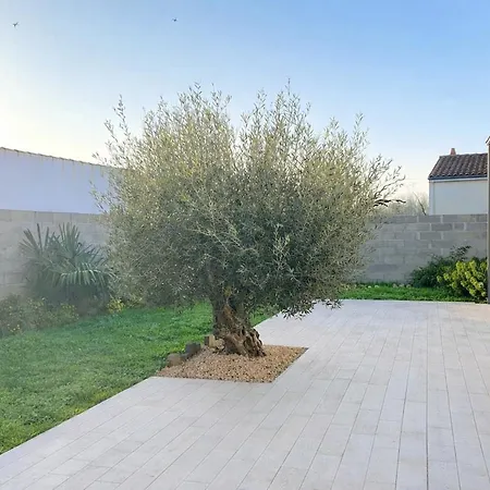 La Maison Des Oiseaux
